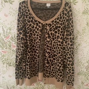 Leopard print cardigan by a new day (Target)